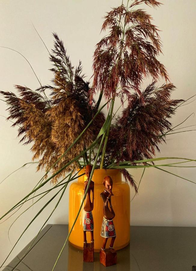Apartament Brown Sugar كارفيا المظهر الخارجي الصورة